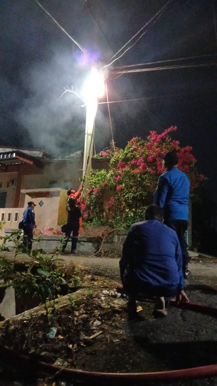 evakuasi sarang tawon di  Jl. Permosi no.7