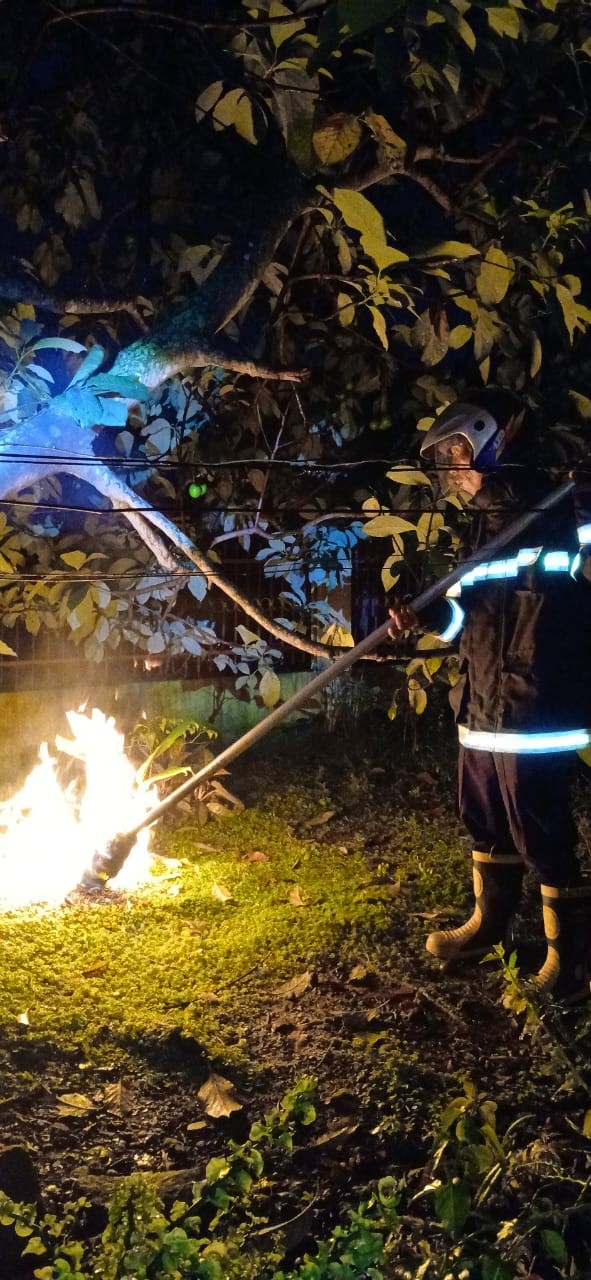 evakuasi sarang tawon yang beralamat di  Jl. Farel Pasaribu Gg. Jeruk Manis No.17