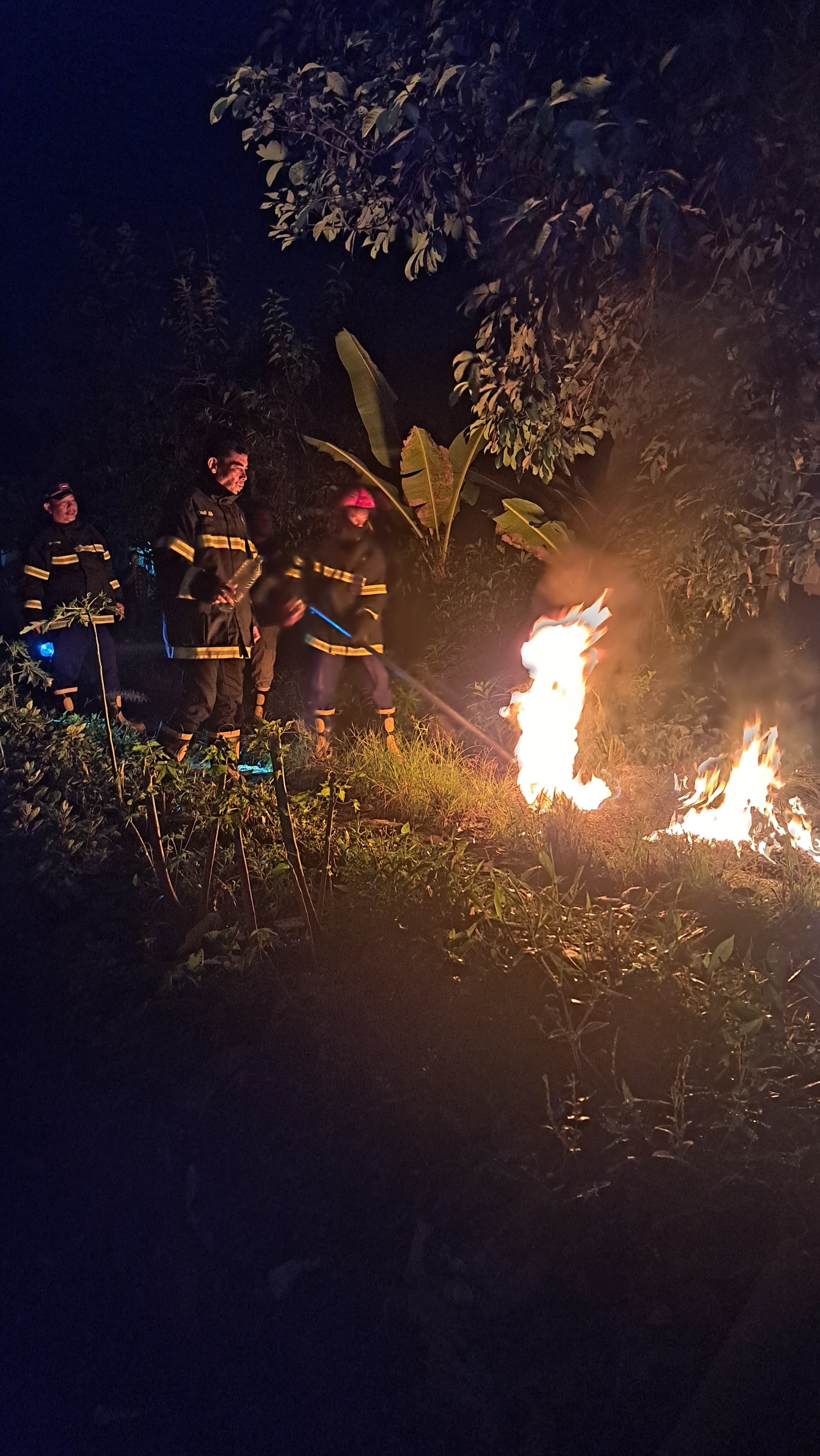 Evakuasi sarang tawon di  Jl. Pabrik Lingkungan 1