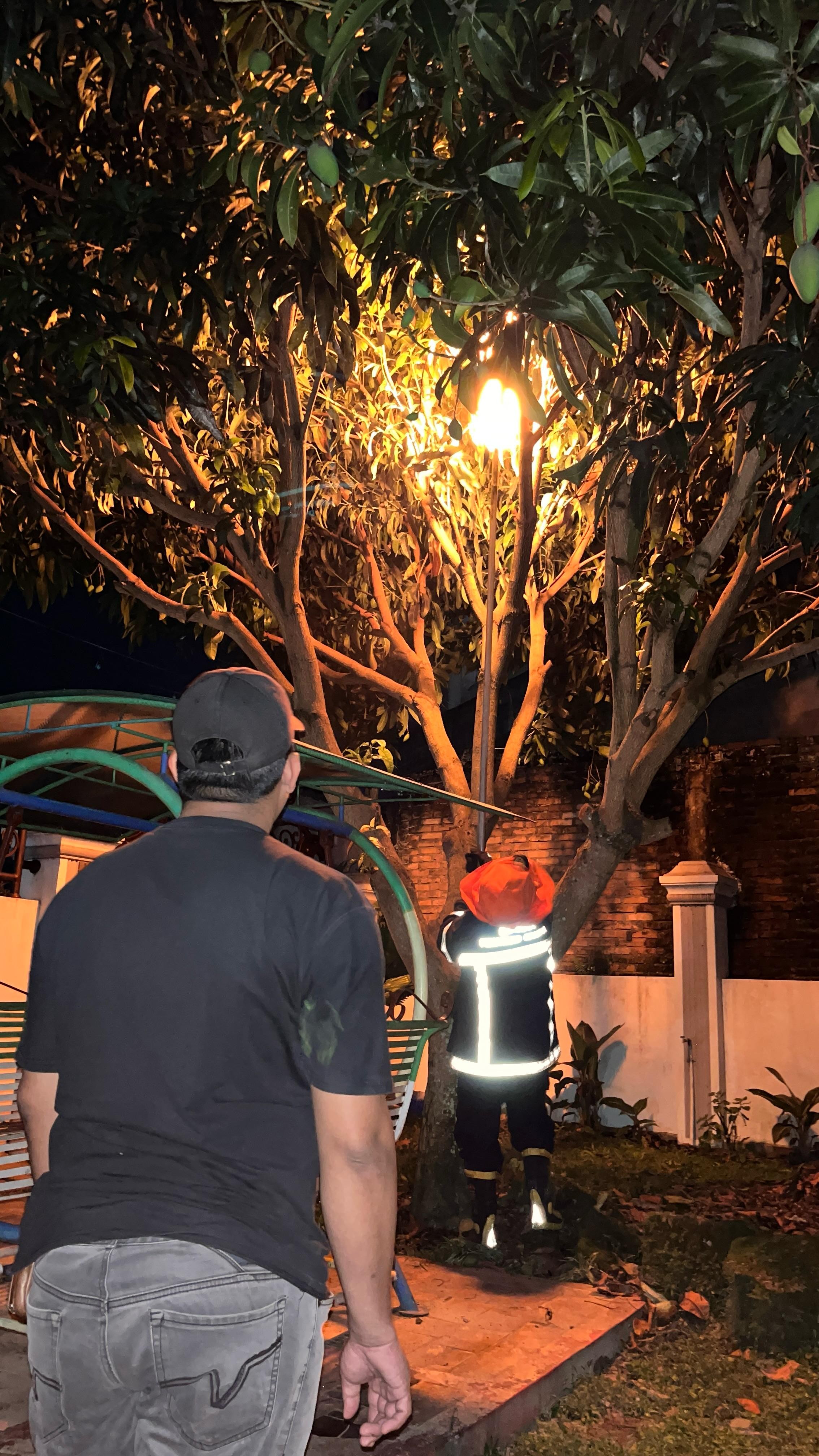 Evakuasi sarang tawon di halaman rumah warga yang beralamat di  Jl. Lapangan Sepak Bola 