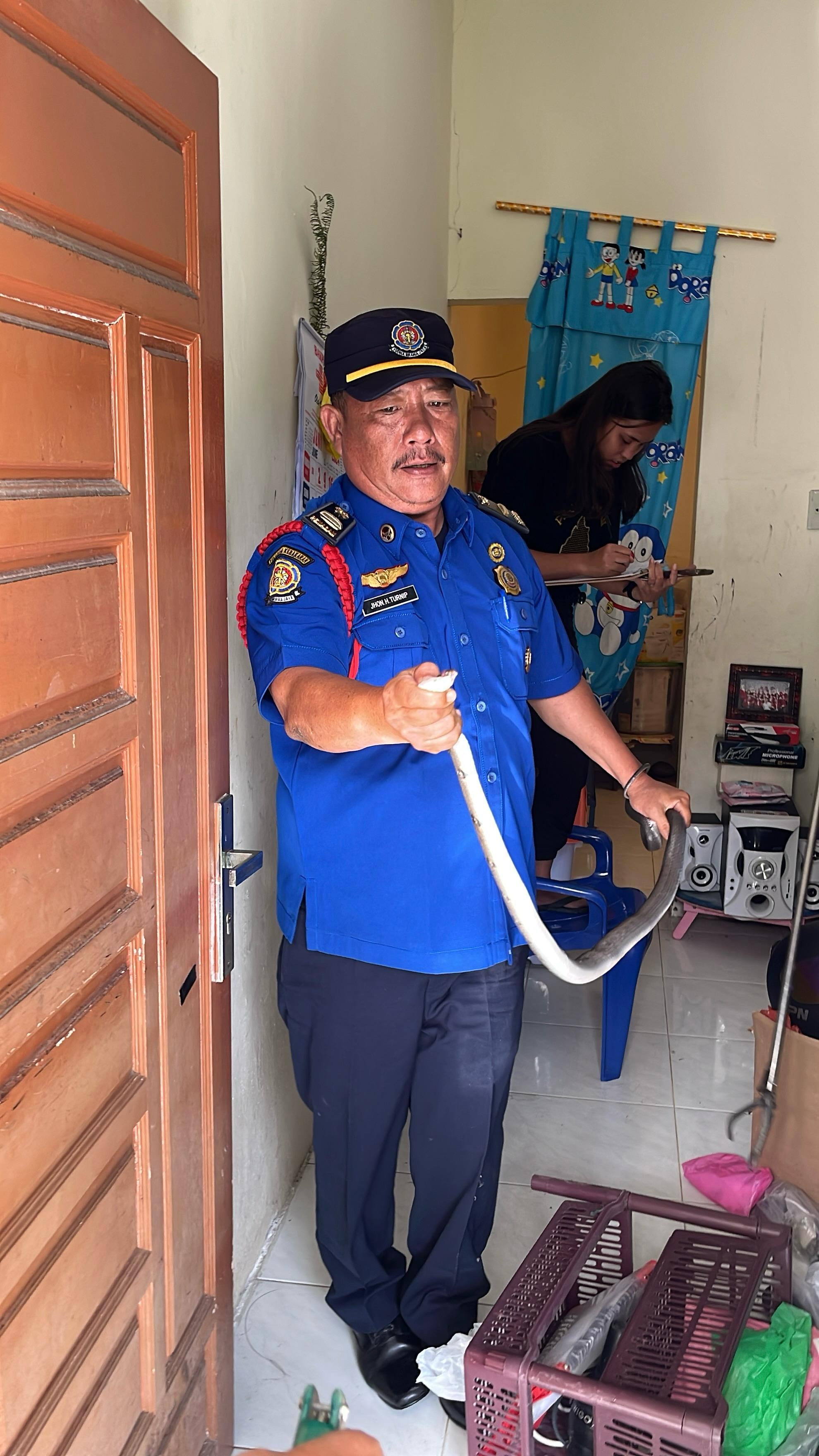 Evakuasi ular di rumah warga yang beralamat di  Jl. Perbaungan
