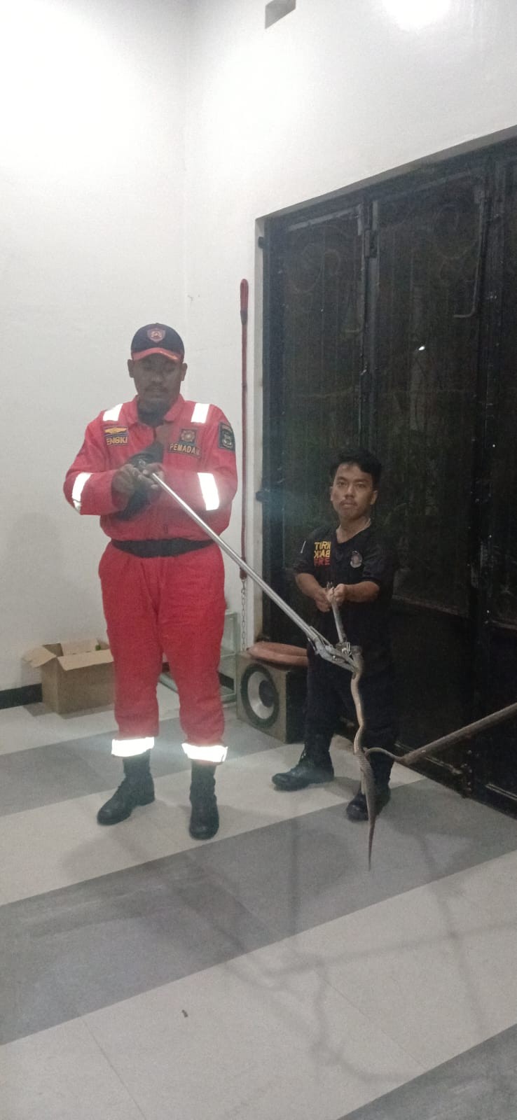 Evakuasi Seekor Ular yang berada di rumah warga yang beralamat di Jl. SM Raja Gang Kayu Manis