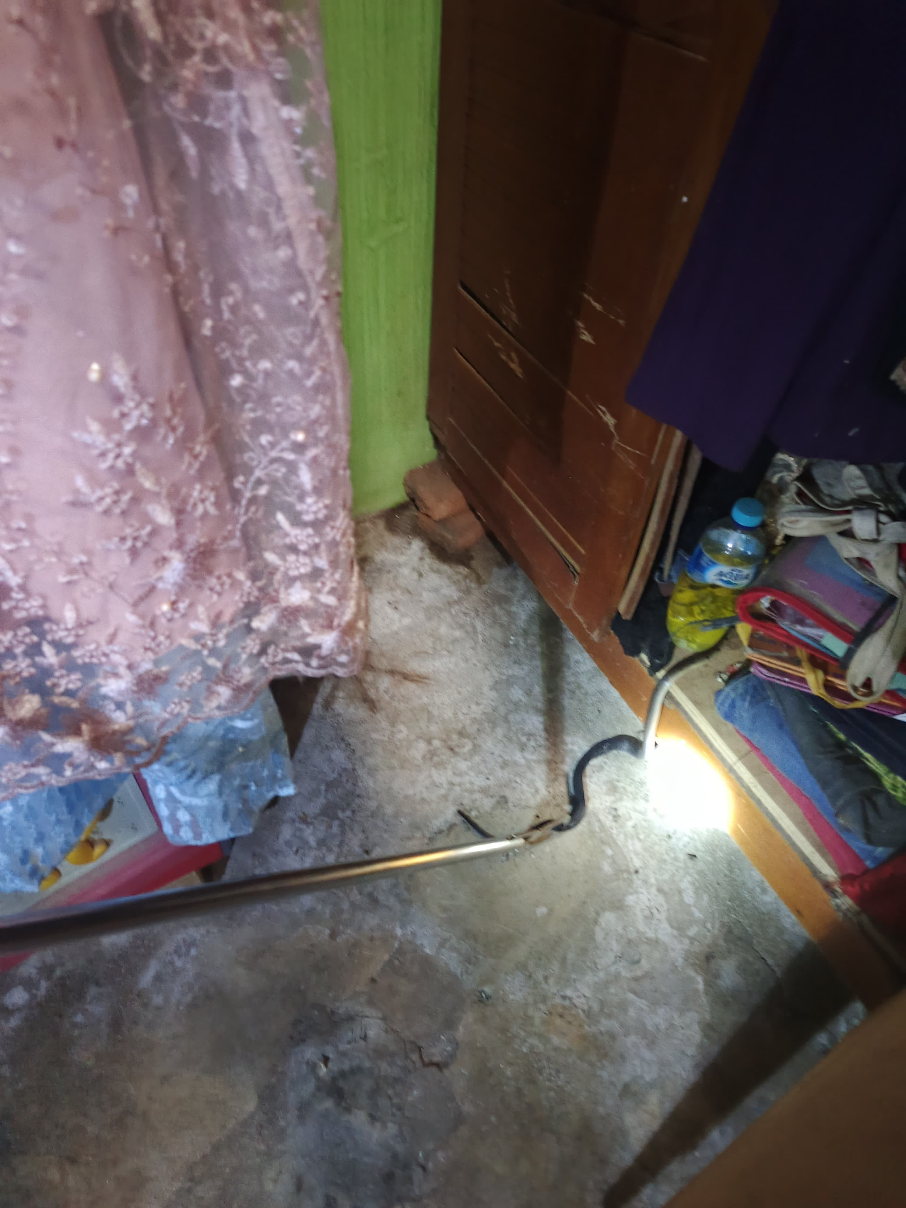 evakuasi Seekor Ular di rumah warga yang beralamat di Jl. Rakutta Sembiring