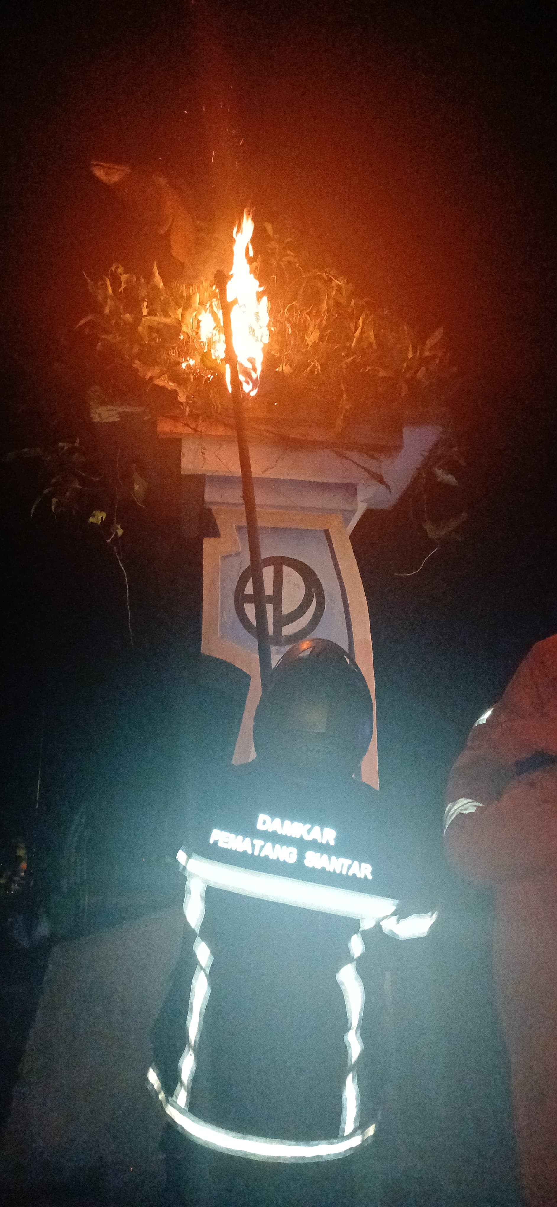 Evakuasi Tawon di Taman Beo Jl. Sisingamangaraja
