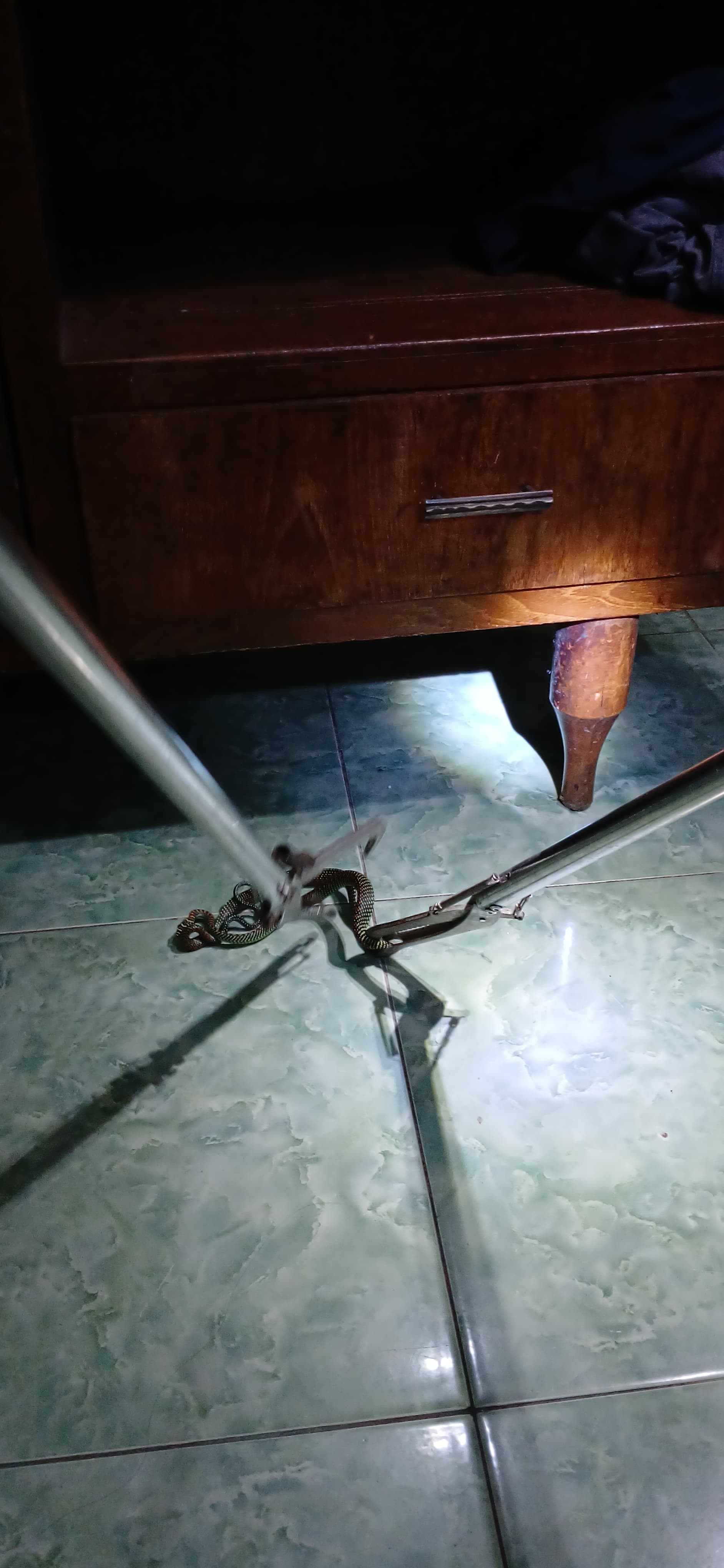 evakuasi Seekor Ular di rumah warga yang beralamat di Jl. Handayani No.02