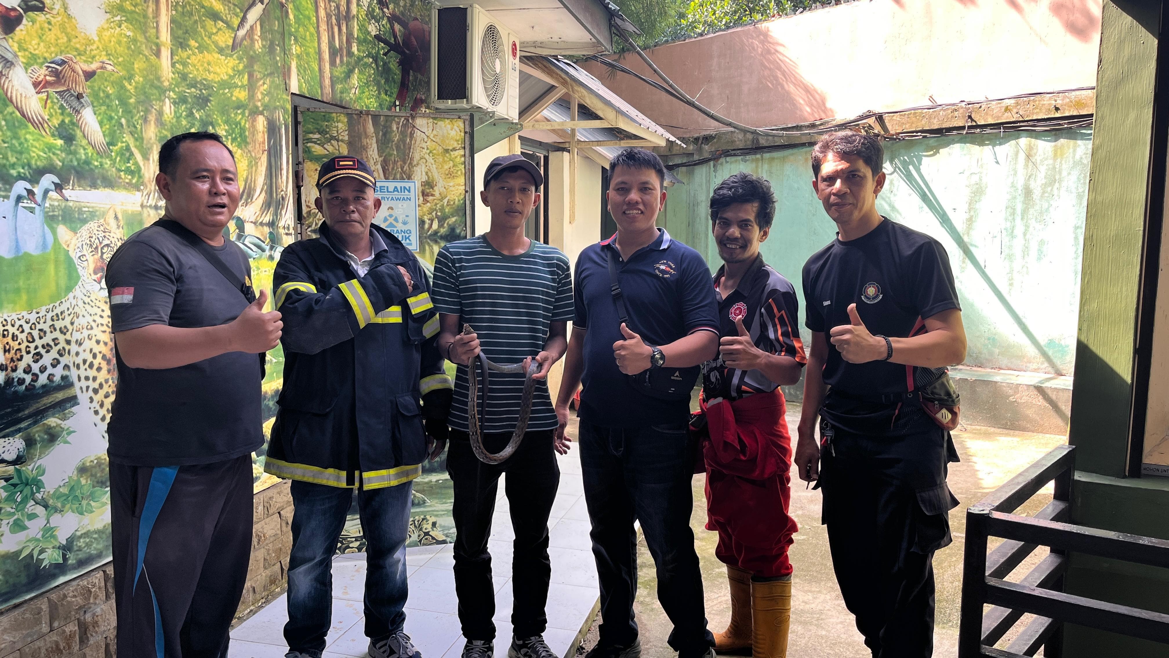 evakuasi ular di Kios warga yang beralamat di  Jl. Bongbongan raya kebenaran