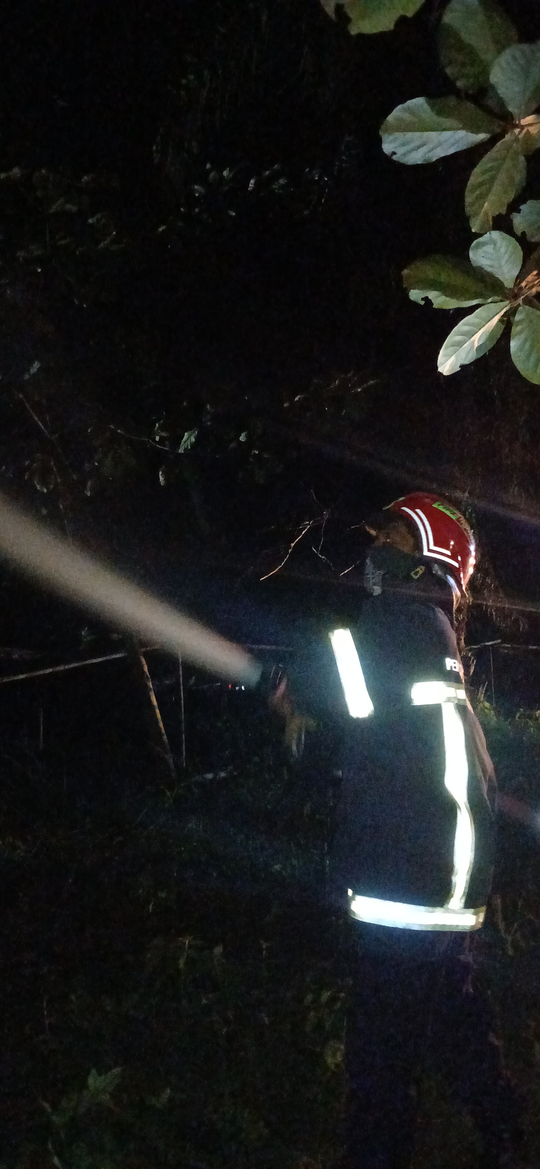 pemadaman kebakaran Pohon Sawit di  Jl. Sekolah