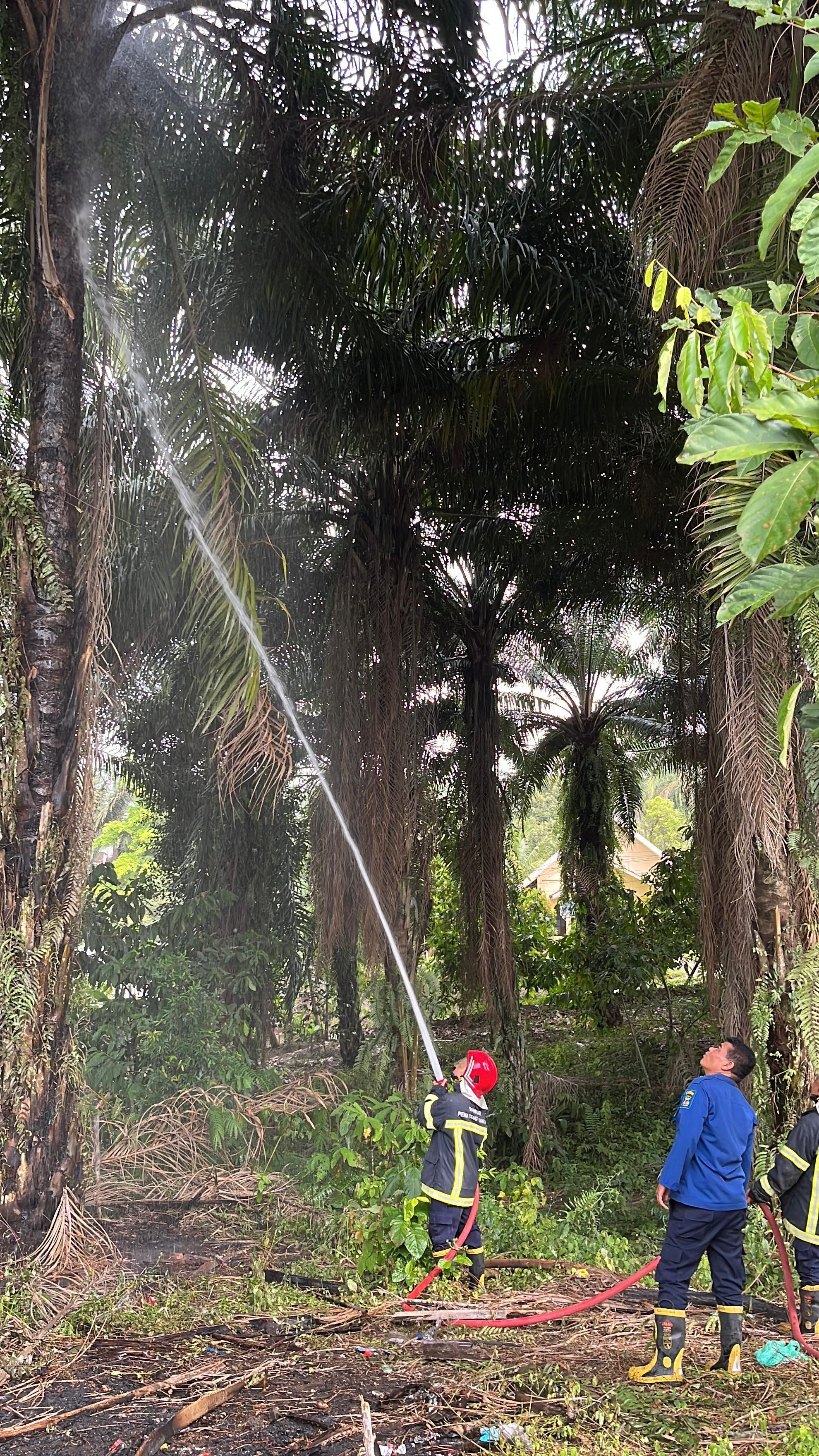pemadaman kebakaran pohon sawit di  Jl. Viyata Yudha 