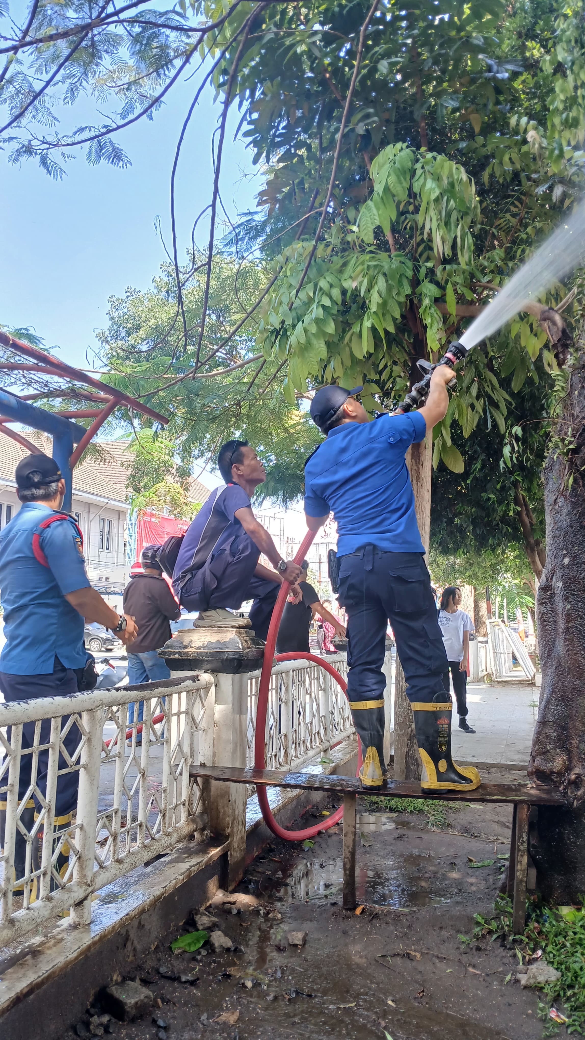 pemadaman kebakaran pohon di  Lapangan Haji Adam Malik