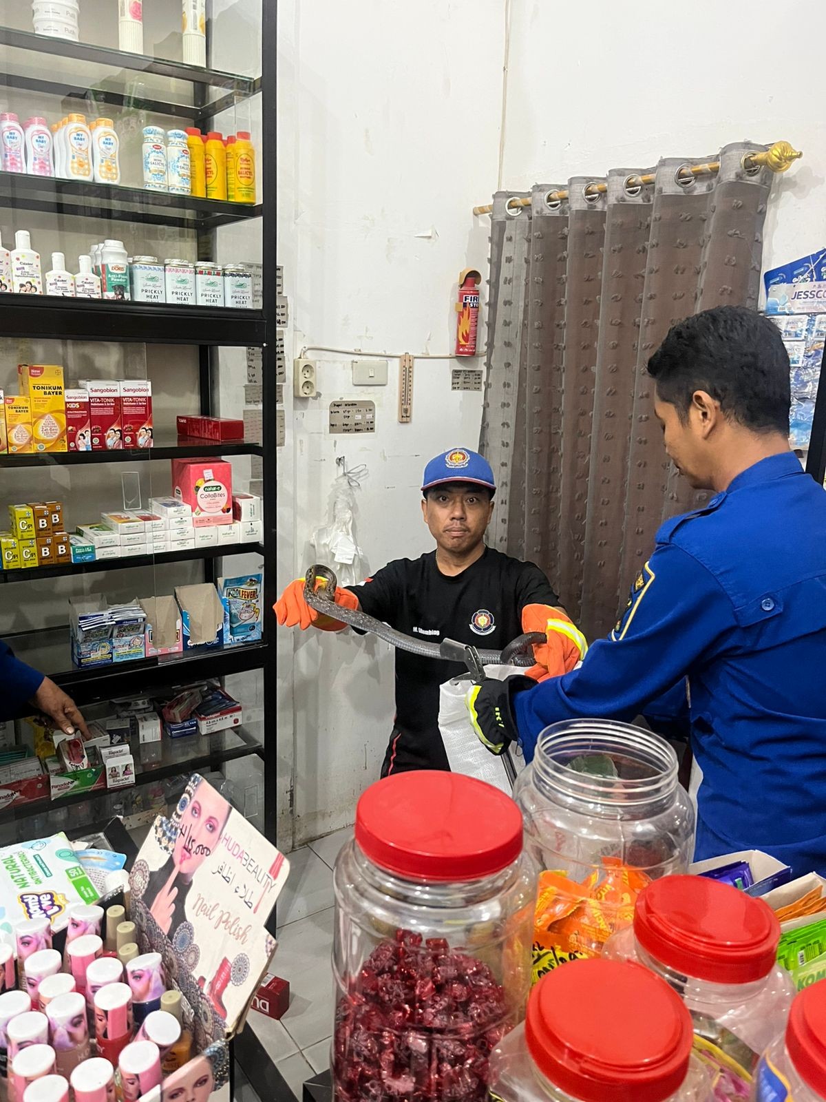 evakuasi seekor ular dirumah warga Jl. Viyata Yudha