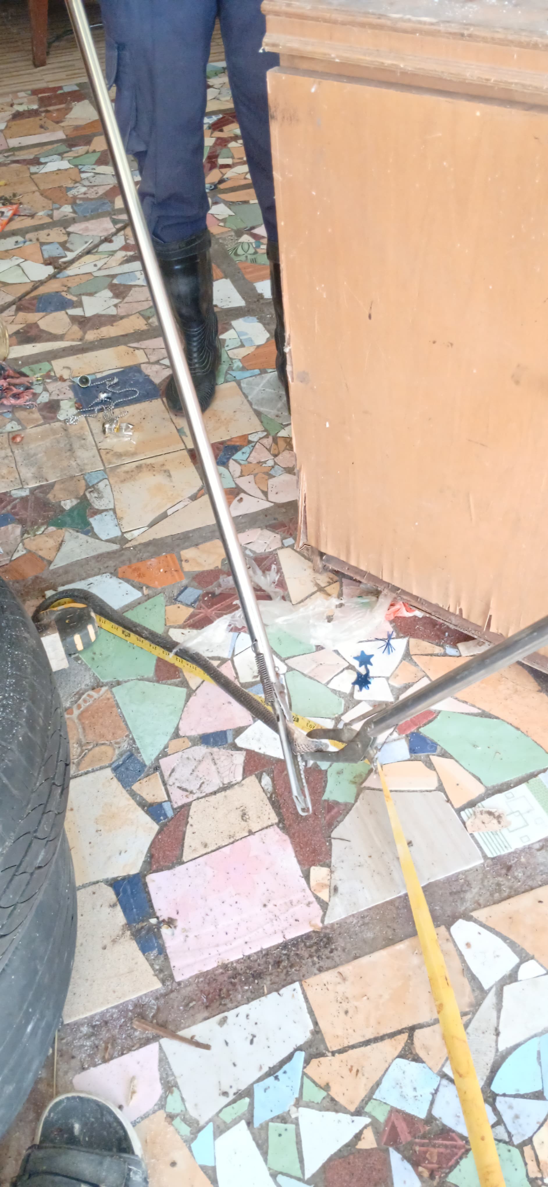 evakuasi seekor ular dirumah warga Jl. Lapangan Tembak