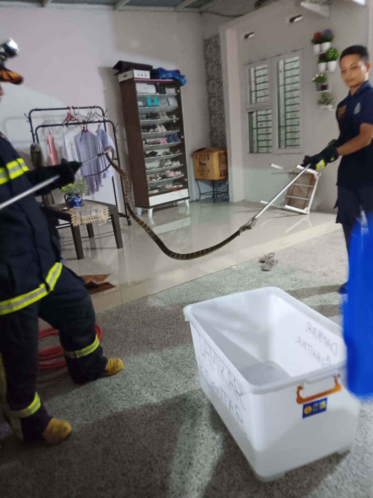 Personil Dinas Pemadam Kebakaran dan Penyelamatan berhasil mengevakuasi ular di rumah warga Jl. Me