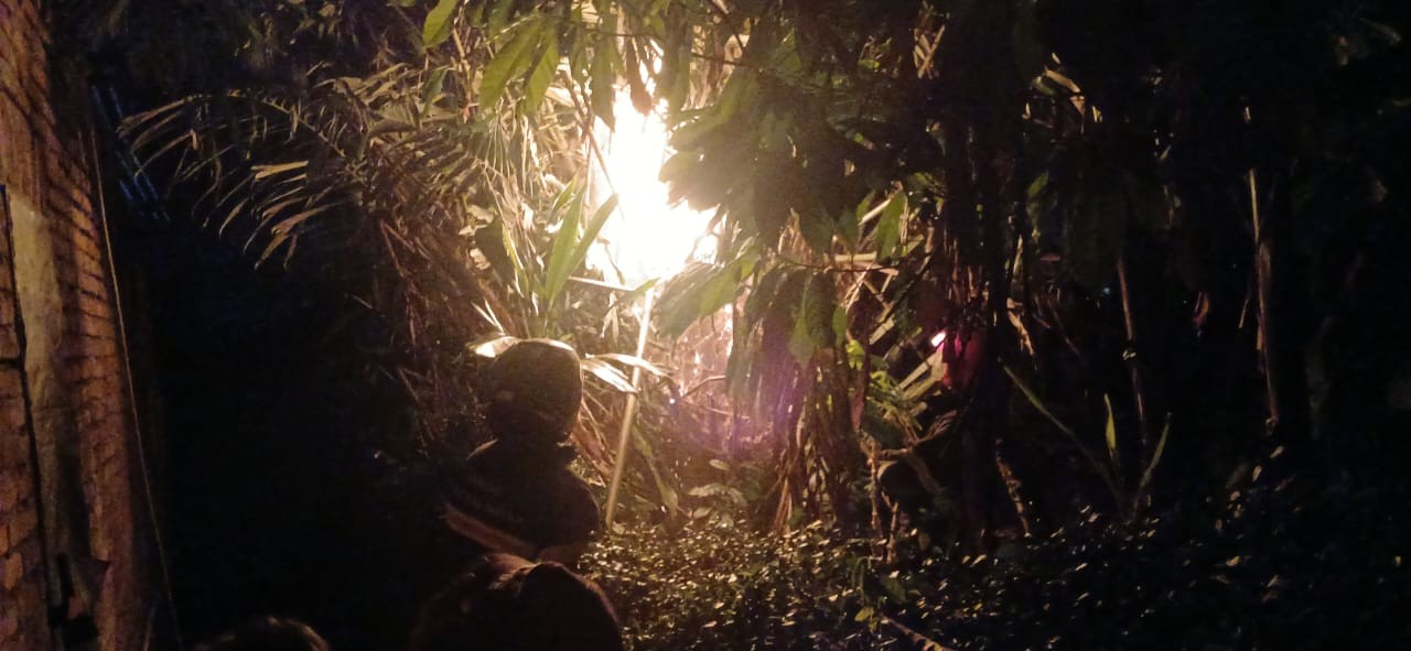 Personil Dinas Pemadam Kebakaran dan Penyelamatan berhasil mengevakuasi sarang tawon di Jl. Kentang