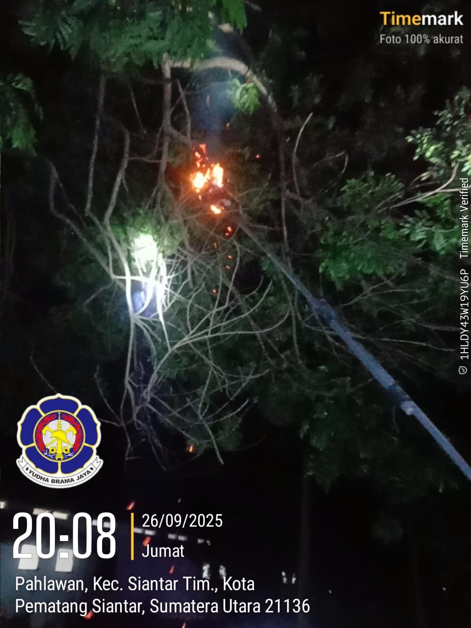 Personil Dinas Pemadam Kebakaran dan Penyelamatan berhasil mengevakuasi sarang tawon di Komplek STT
