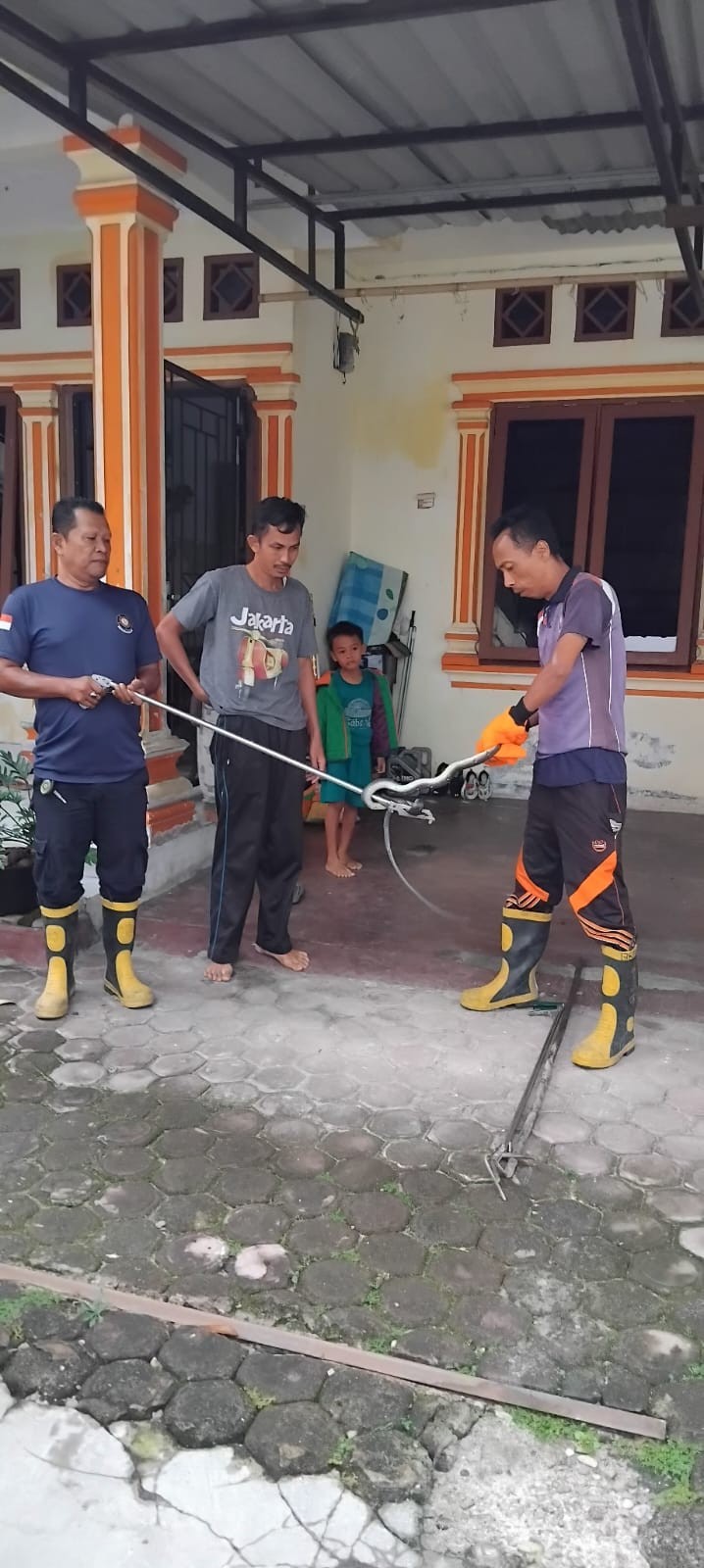 Personil Dinas Pemadam Kebakaran dan Penyelamatan berhasil mengevakuasi seekor ular di rumah warga