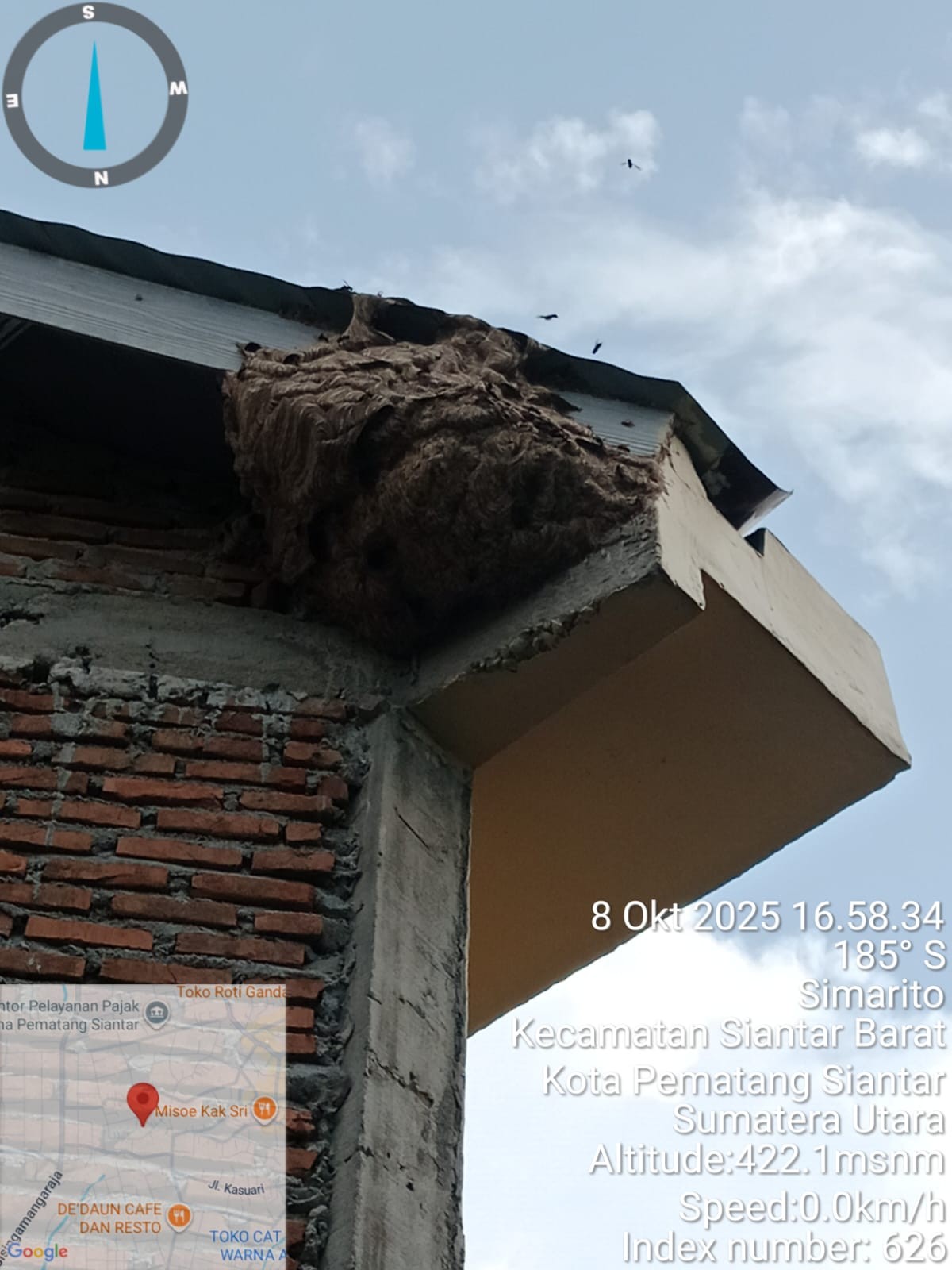 Personil Dinas Pemadam Kebakaran dan Penyelamatan berhasil mengevakuasi sarang tawon di Jl. Bakung