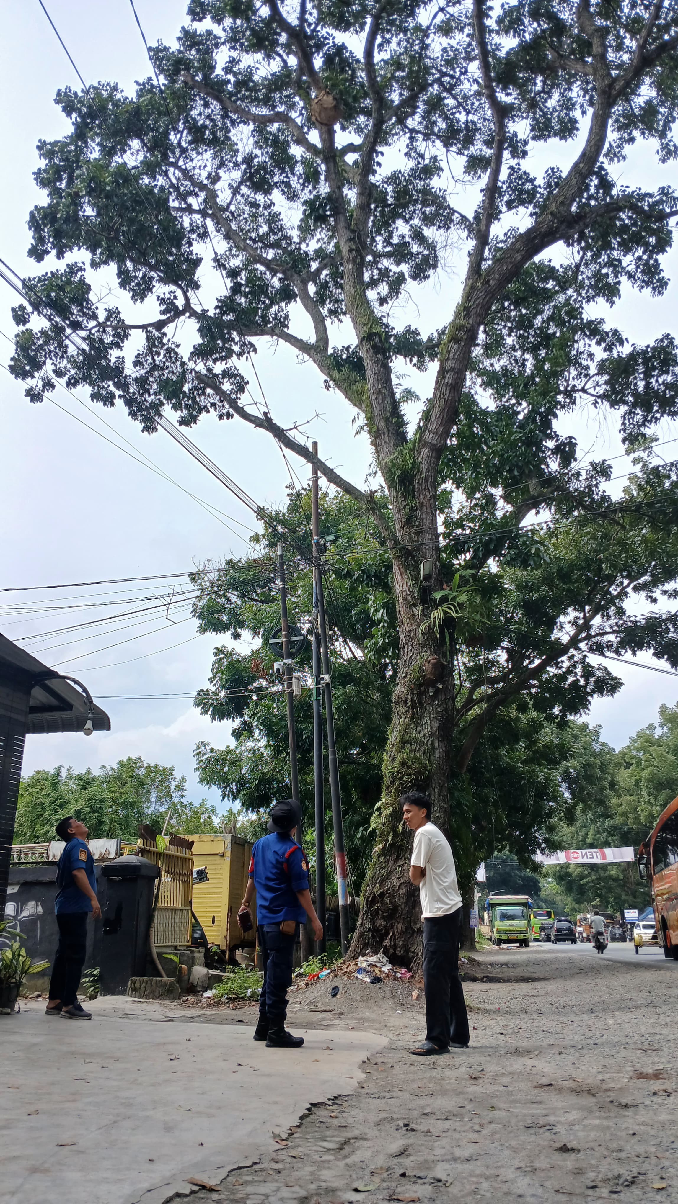Personil Dinas Pemadam Kebakaran dan Penyelamatan berhasil mengevakuasi sarang tawon di Jl. Sising