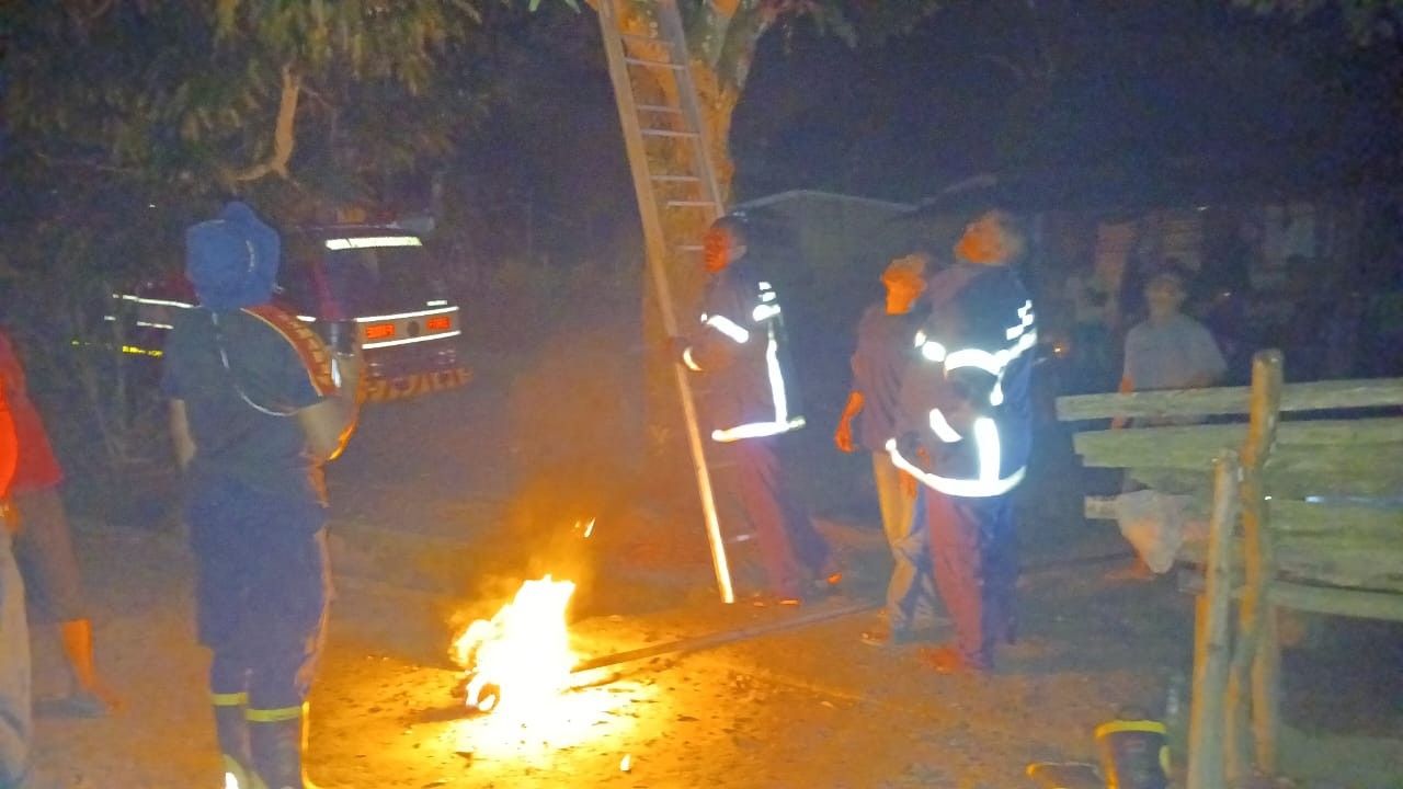 Personil Dinas Pemadam Kebakaran dan Penyelamatan berhasil mengevakuasi sarang tawon di   Jl. Simpan