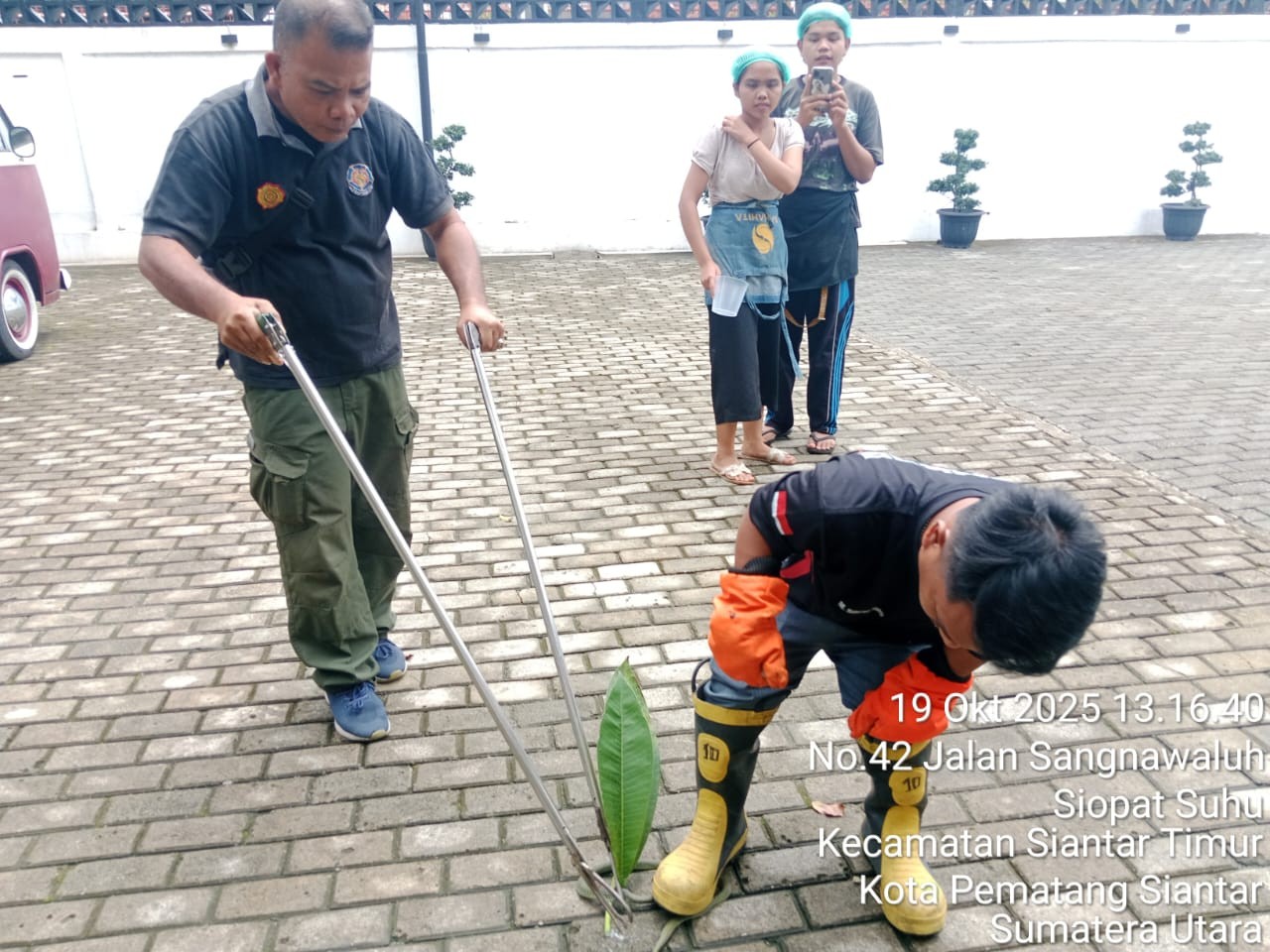 Personil Dinas Pemadam Kebakaran dan Penyelamatan berhasil mengevakuasi seekor  ular di Cafe Samahit