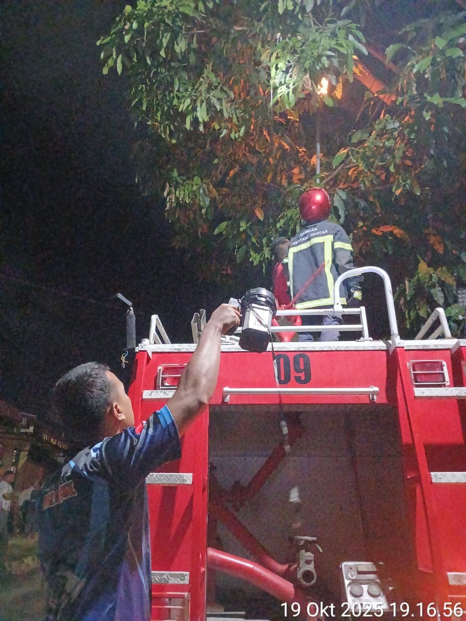 Personil Dinas Pemadam Kebakaran dan Penyelamatan berhasil mengevakuasi sarang tawon di   Jl. Bahkor