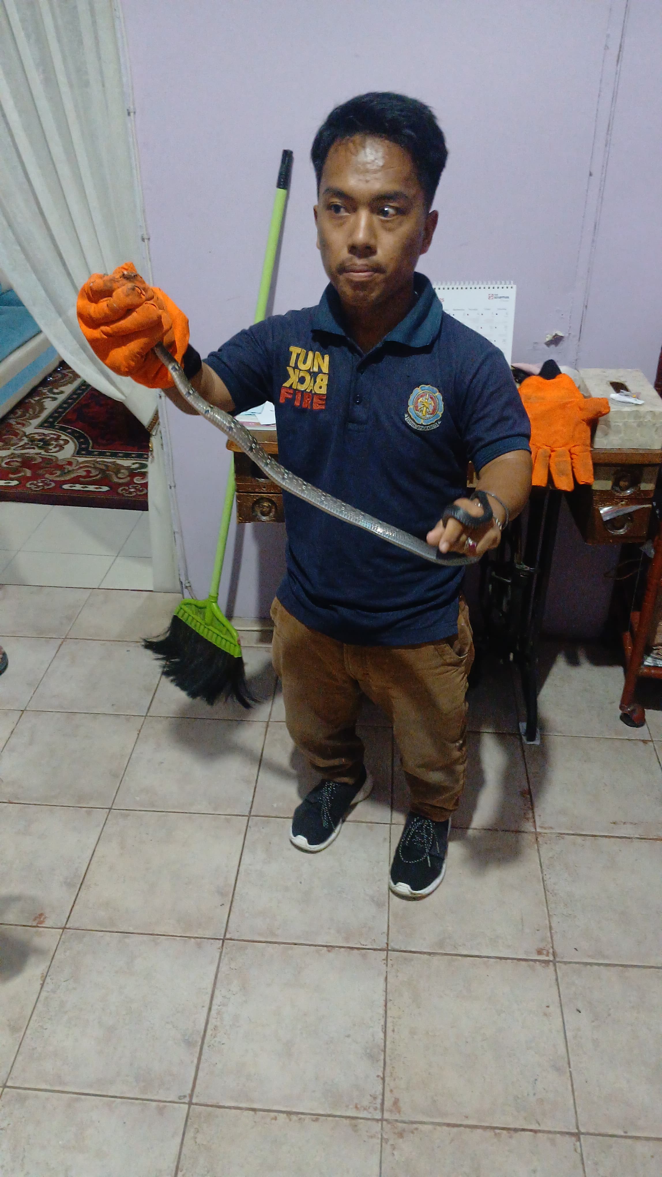 Personil Dinas Pemadam Kebakaran dan Penyelamatan berhasil mengevakuasi seekor  ular di rumah warga 