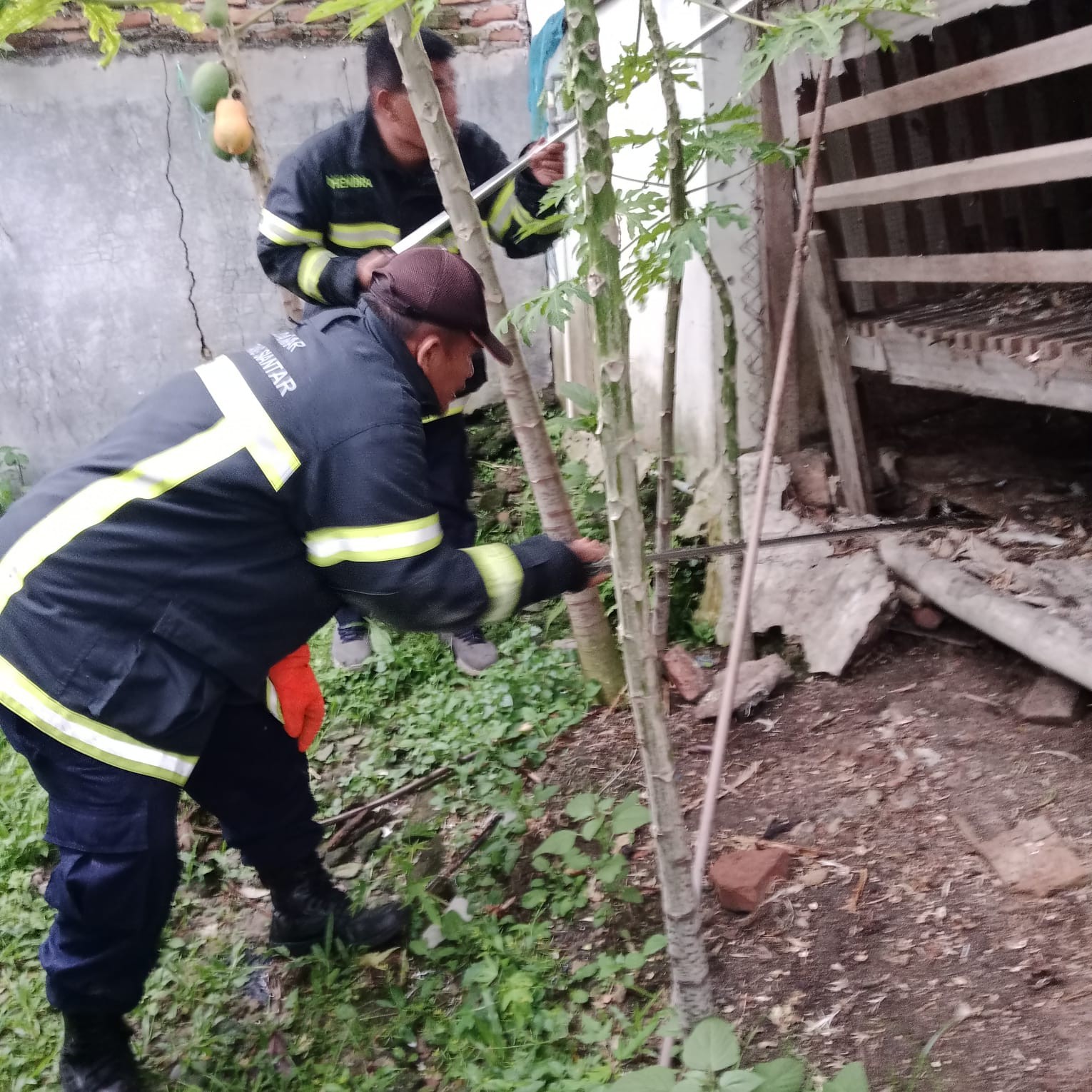 Personil Dinas Pemadam Kebakaran dan Penyelamatan menerima informasi adanya ular di rumah warga  Kel