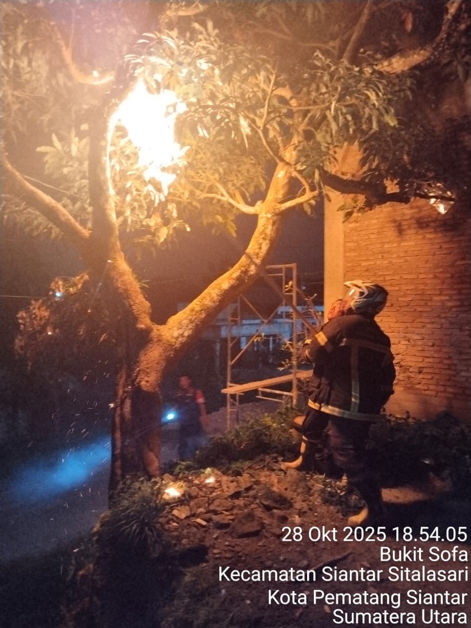 Personil Dinas Pemadam Kebakaran dan Penyelamatan berhasil mengevakuasi sarang tawon di Jl. Pleton