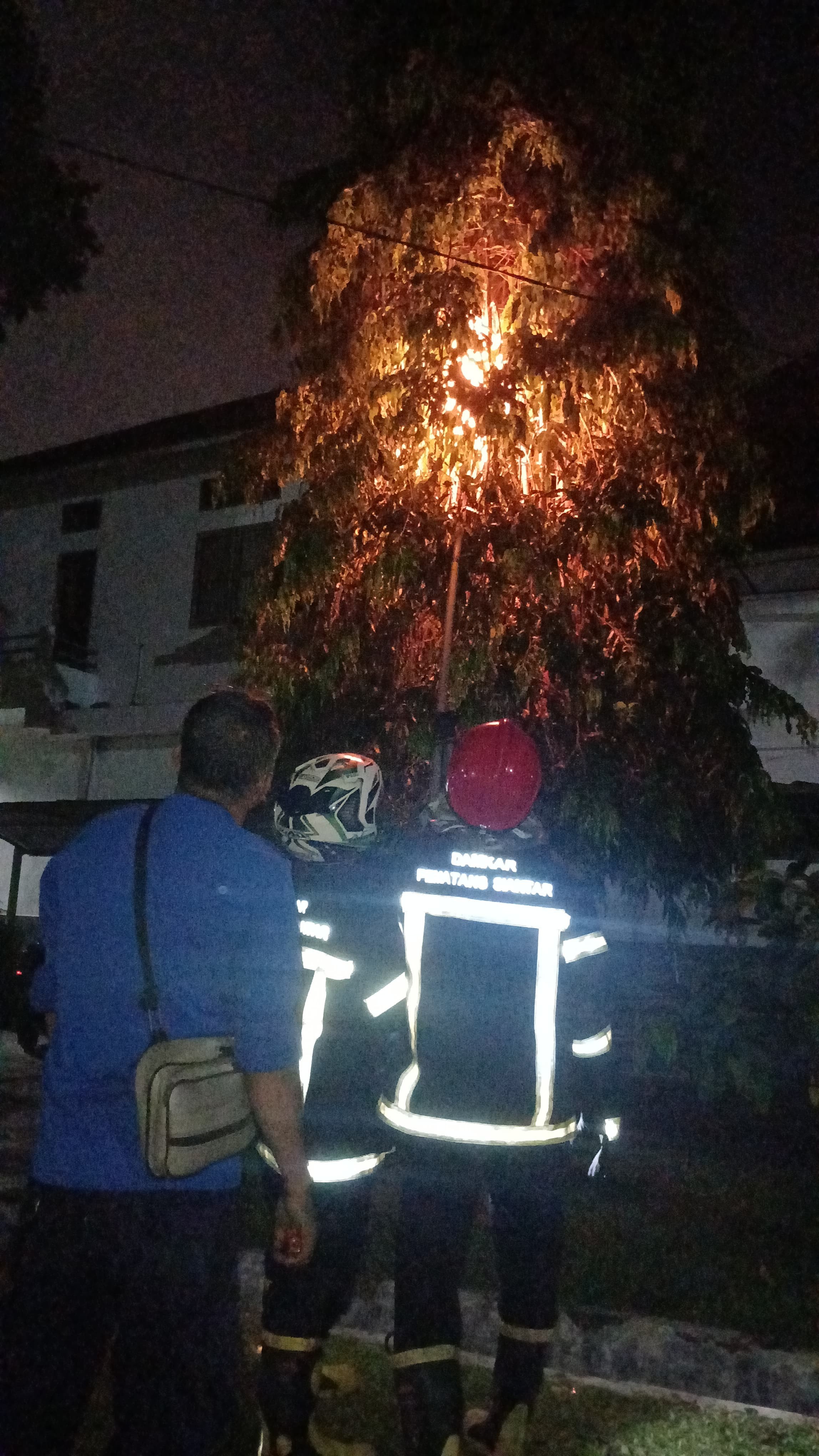 Personil Dinas Pemadam Kebakaran dan Penyelamatan berhasil mengevakuasi sarang tawon di STT HKBP Nom