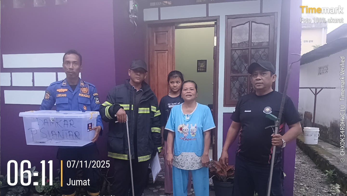 Personil Dinas Pemadam Kebakaran dan Penyelamatan berhasil mengevakuasi seekor ular di dalam rumah w