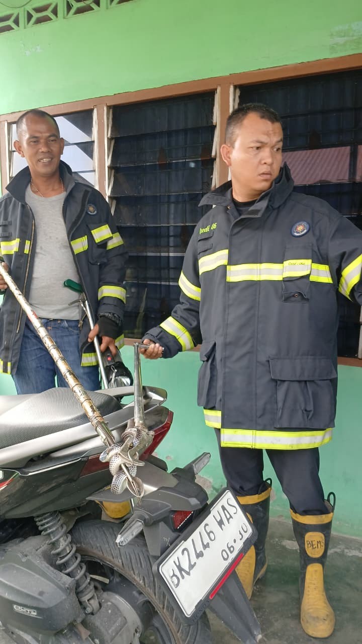 evakuasi seekor ular di dalam rumah warga  Jl. Rakutta Sembiring