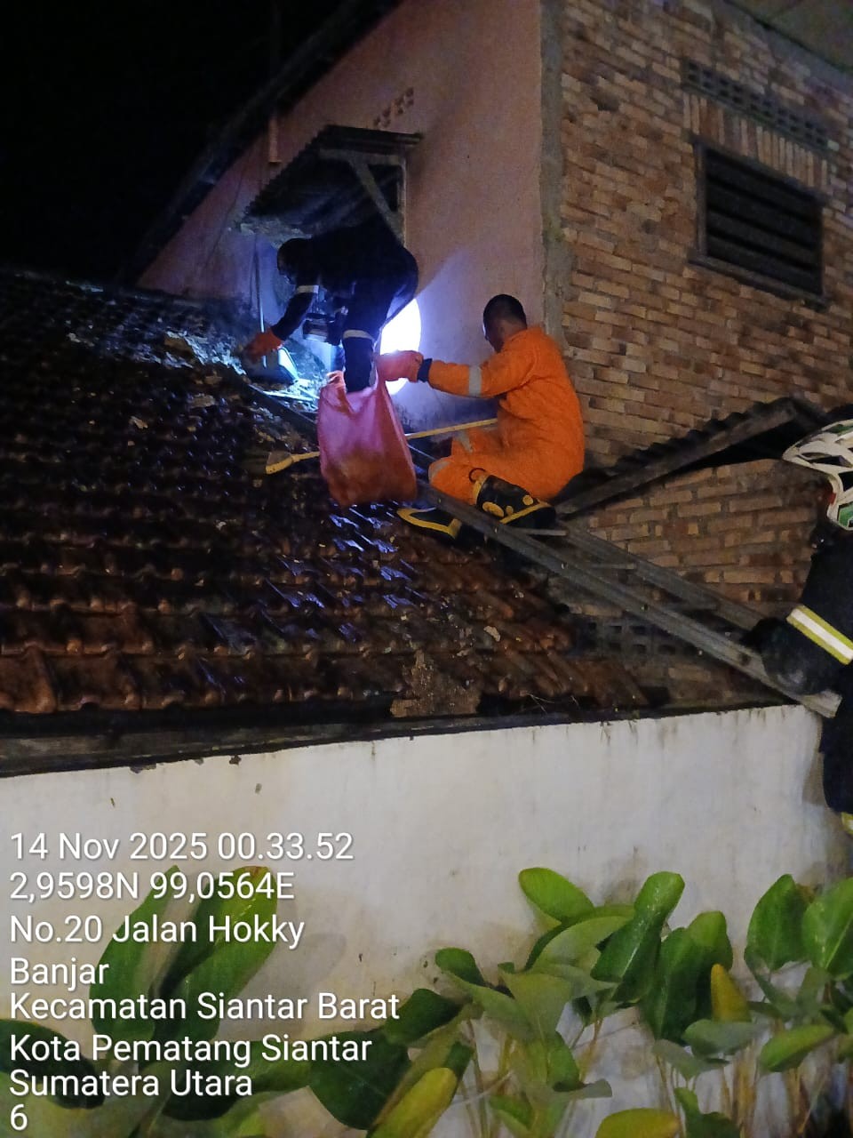 Personil Dinas Pemadam Kebakaran dan Penyelamatan berhasil mengevakuasi sarang tawon di rumah warga 