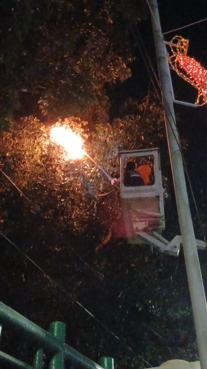 Personil Dinas Pemadam Kebakaran dan Penyelamatan berhasil mengevakuasi sarang tawon di Taman Makam 