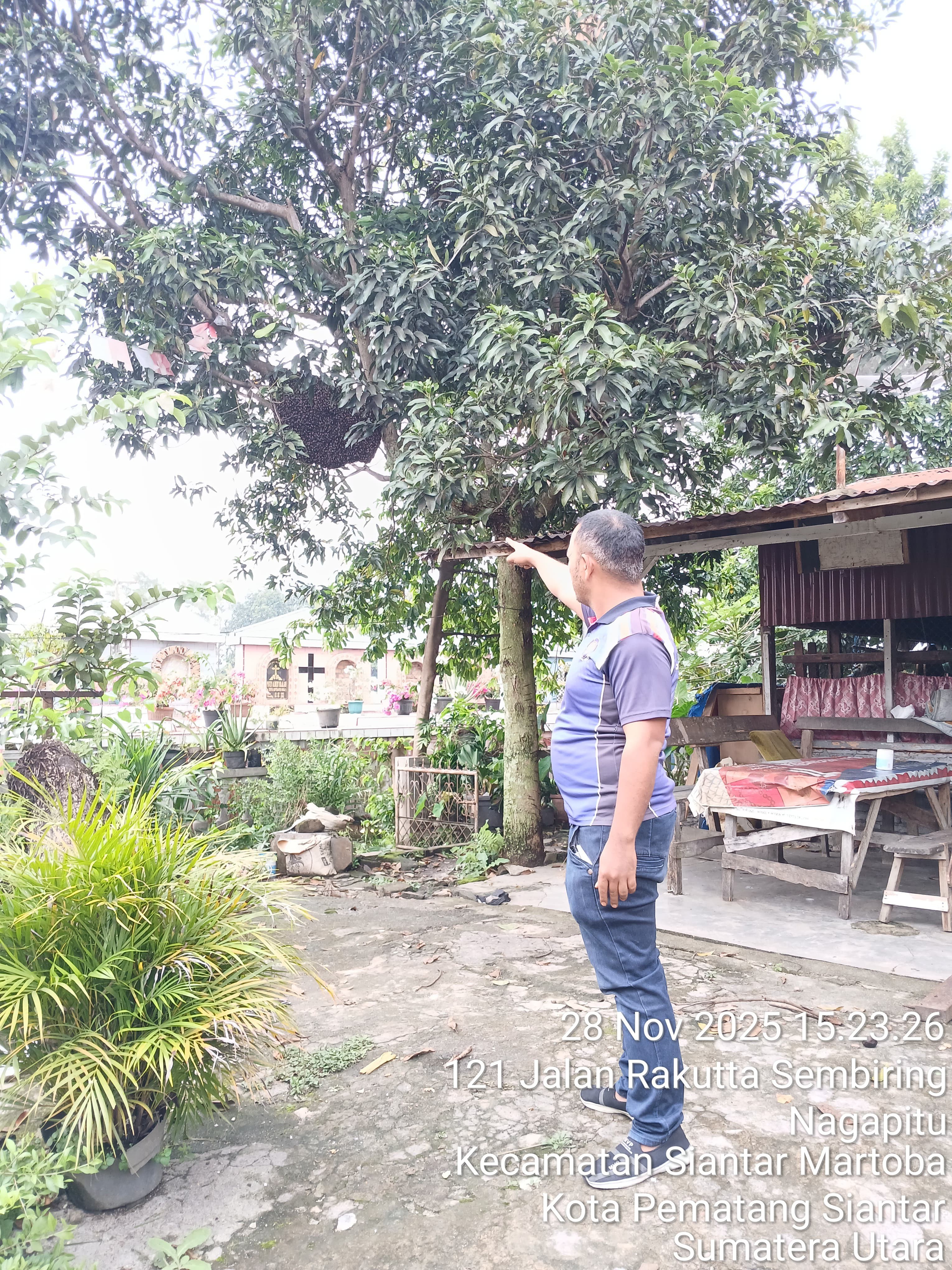 Personil Dinas Pemadam Kebakaran dan Penyelamatan menerima informasi dari warga adanya sarang tawon 