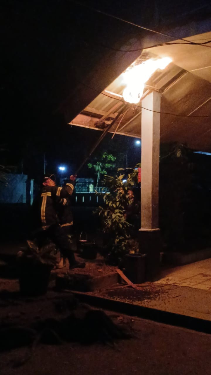 Personil Dinas Pemadam Kebakaran dan Penyelamatan berhasil mengevakuasi sarang tawon di SD Negeri No