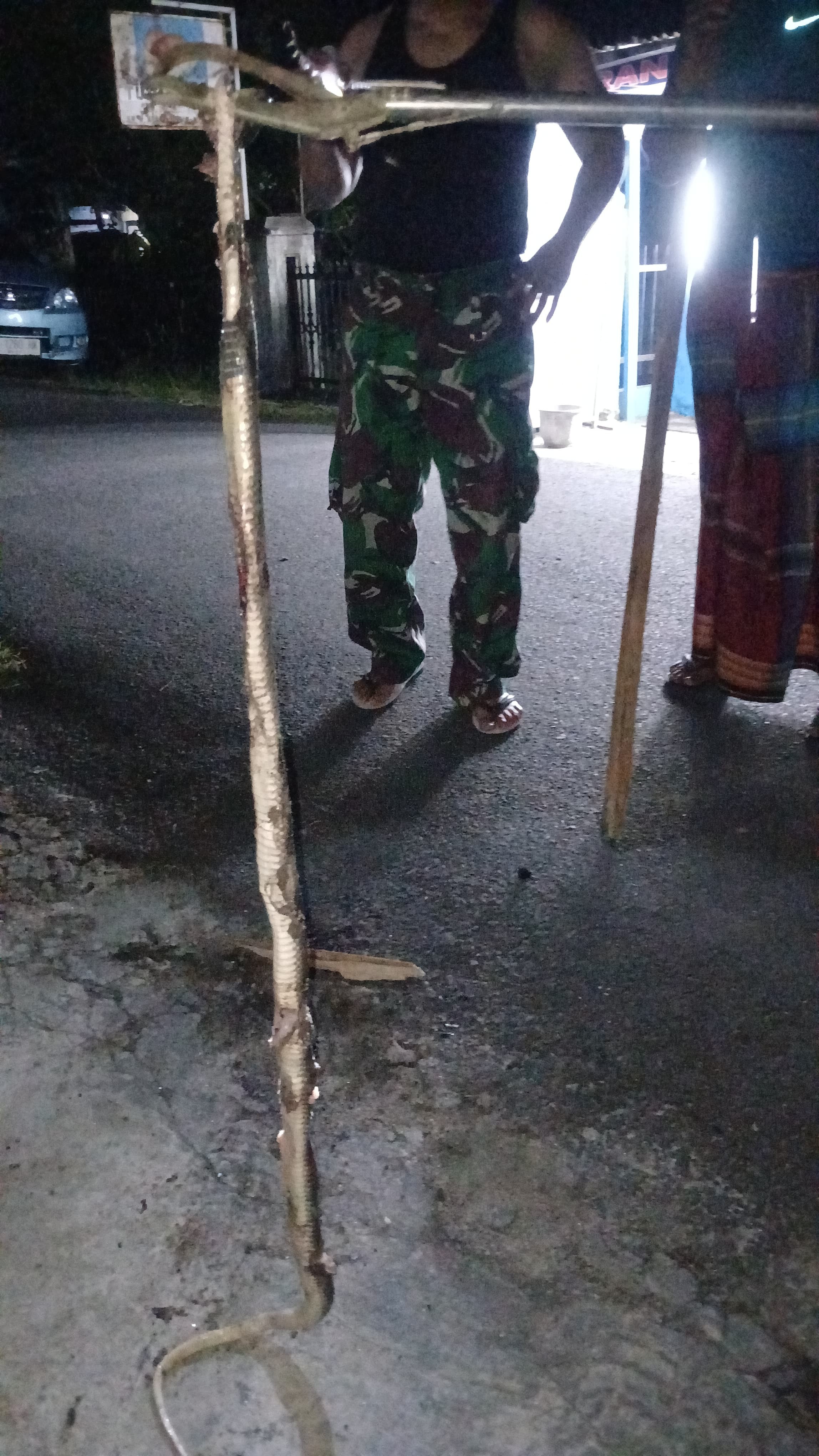 Personil Dinas Pemadam Kebakaran dan Penyelamatan berhasil mengevakuasi seekor ular di rumah warga  