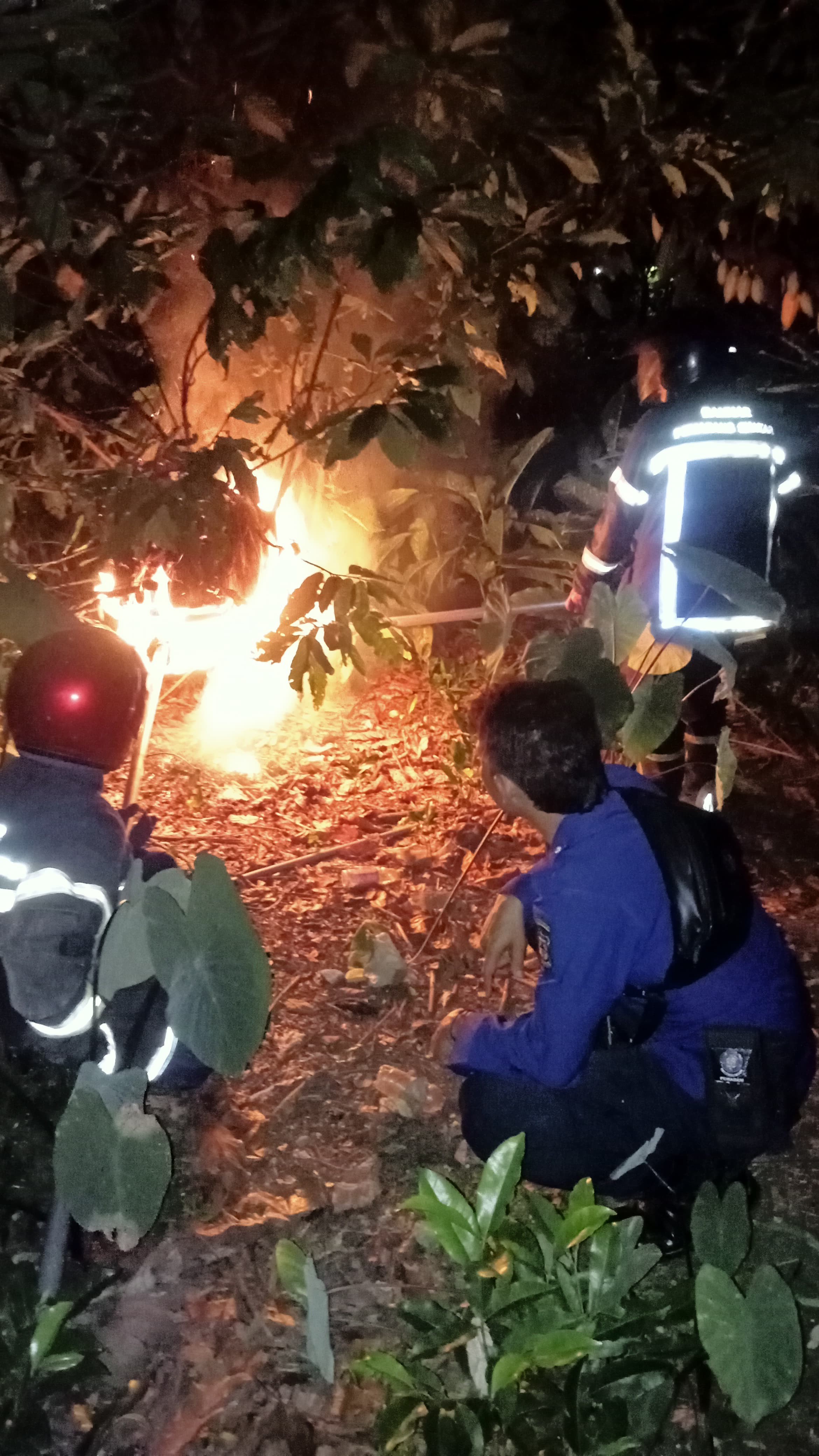 Personil Dinas Pemadam Kebakaran dan Penyelamatan berhasil mengevakuasi sarang tawon di  Jl. Bara Me