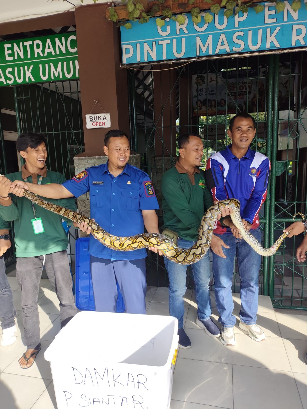 Personil Dinas Pemadam Kebakaran dan Penyelamatan berhasil mengevakuasi seekor ular di  Jl. Sabang M