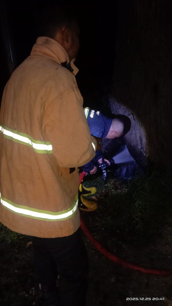 Personil Dinas Pemadam Kebakaran dan Penyelamatan melaksanakan Pemadaman Kebakaran Pohon di  Jl. Asa