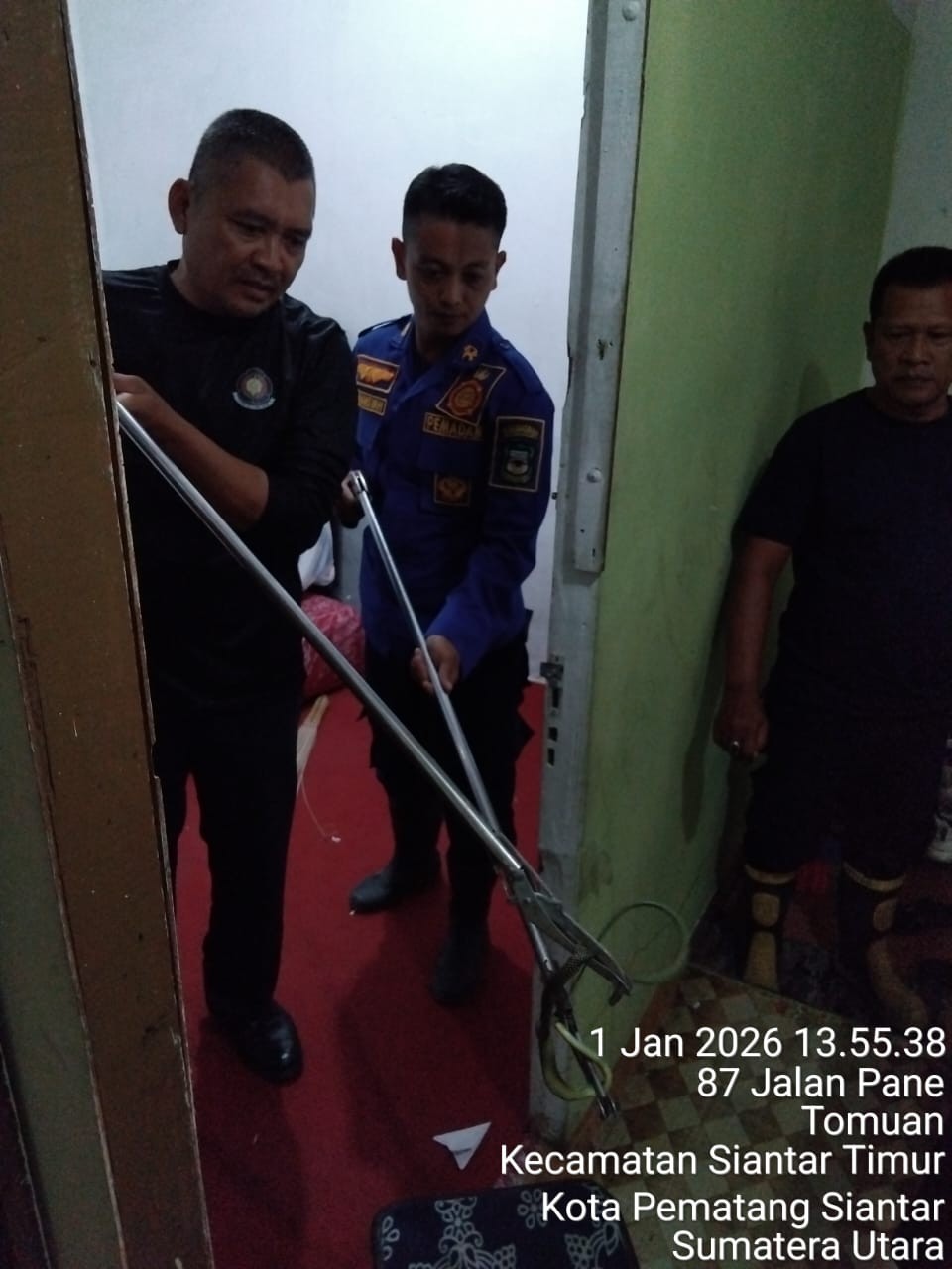 Personil Dinas Pemadam Kebakaran dan Penyelamatan berhasil mengevakuasi seekor ular di  Jl. Pane 