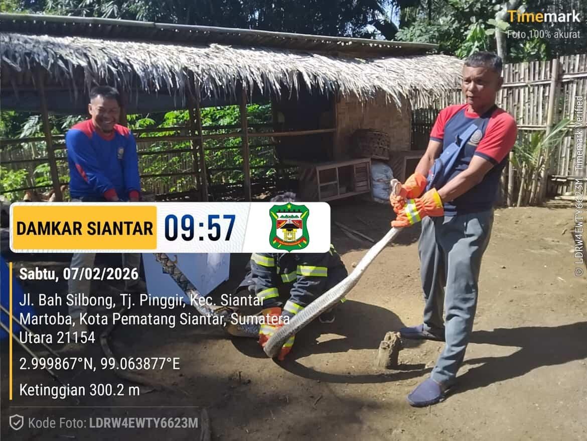 evakuasi seekor ular di  Jl. Bah Sibong