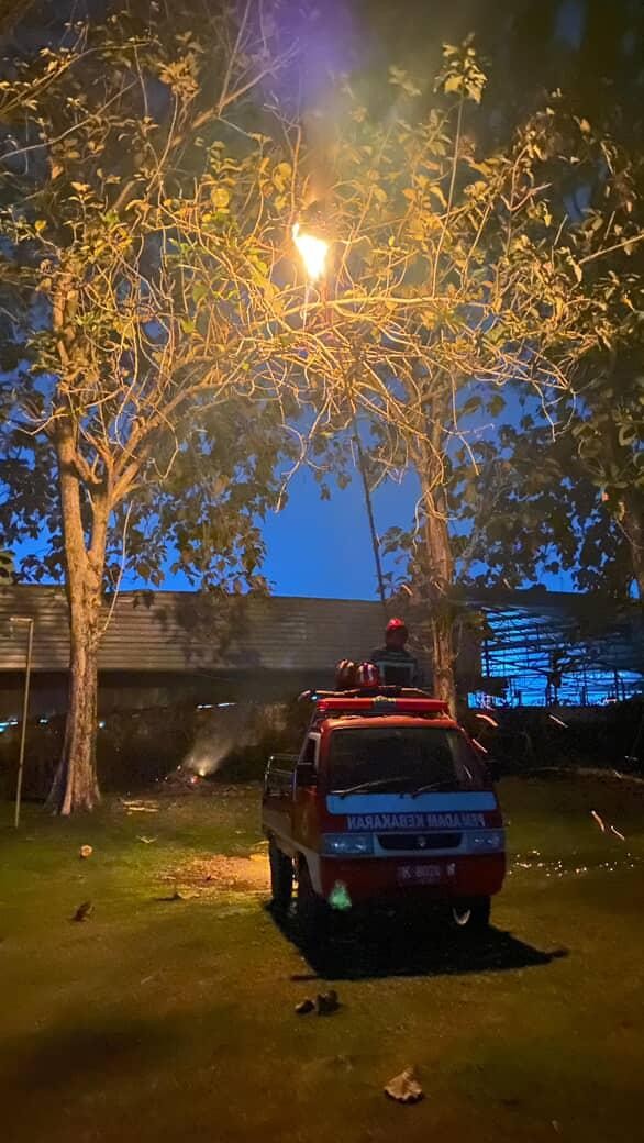 evakuasi sarang tawon di lapangan tembak Mako Kompi 2 Batalyon B Sat Brimob Kota Pematang Siantar.