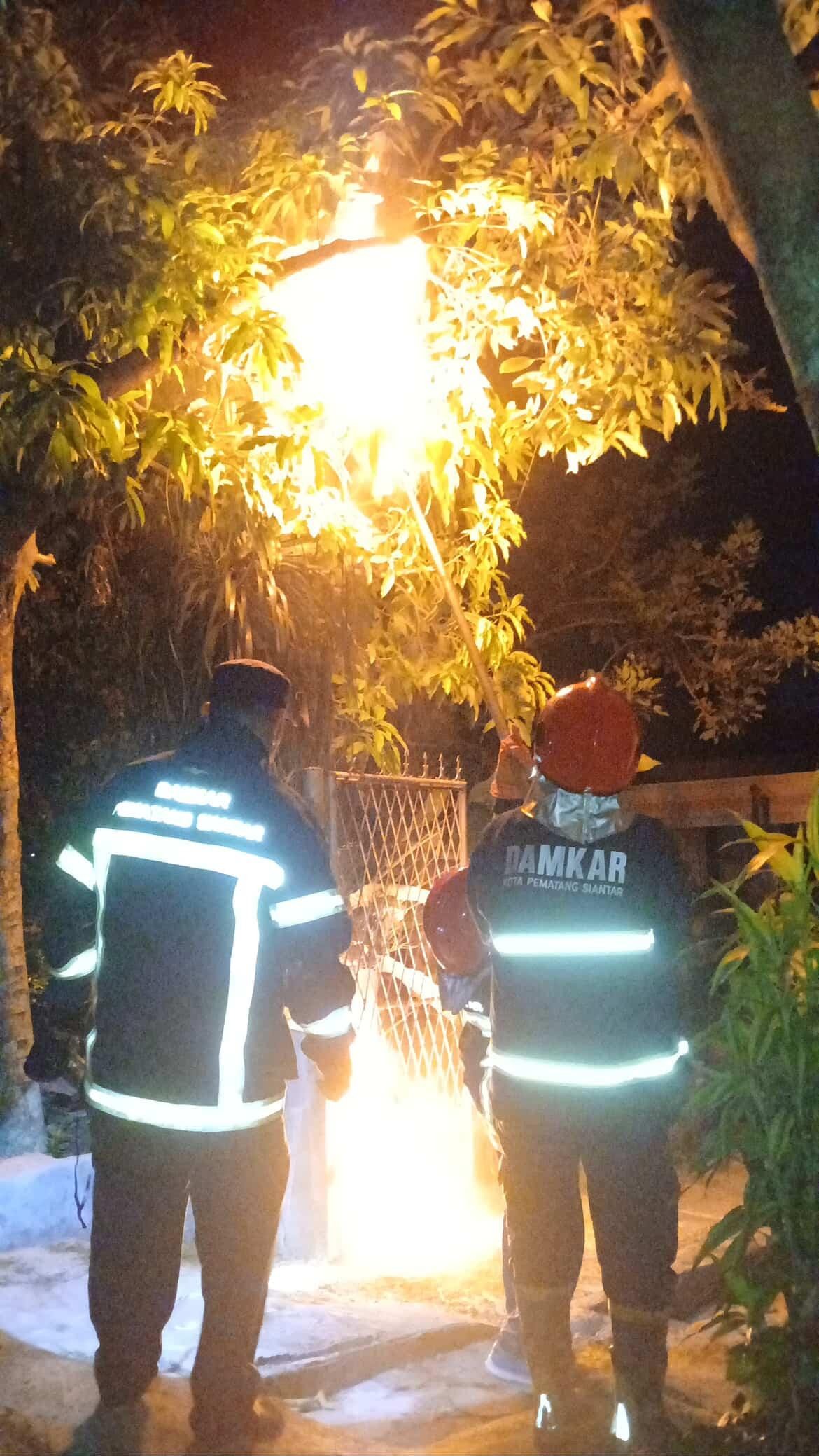 evakuasi sarang tawon di   Jl. Sejahtera 