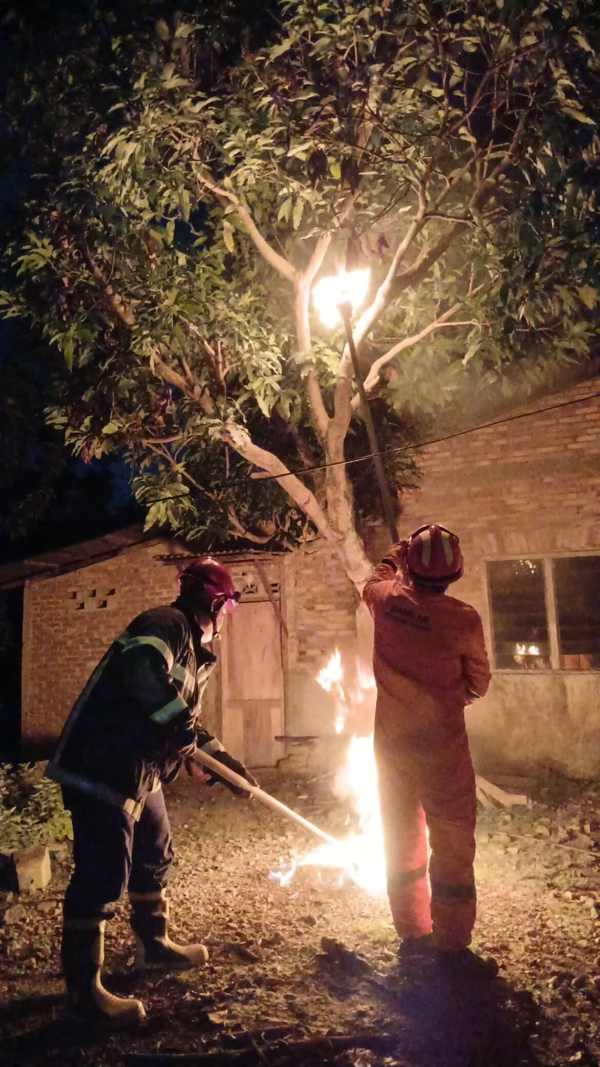 evakuasi sarang tawon di rumah warga  Jl. Farel Pasaribu