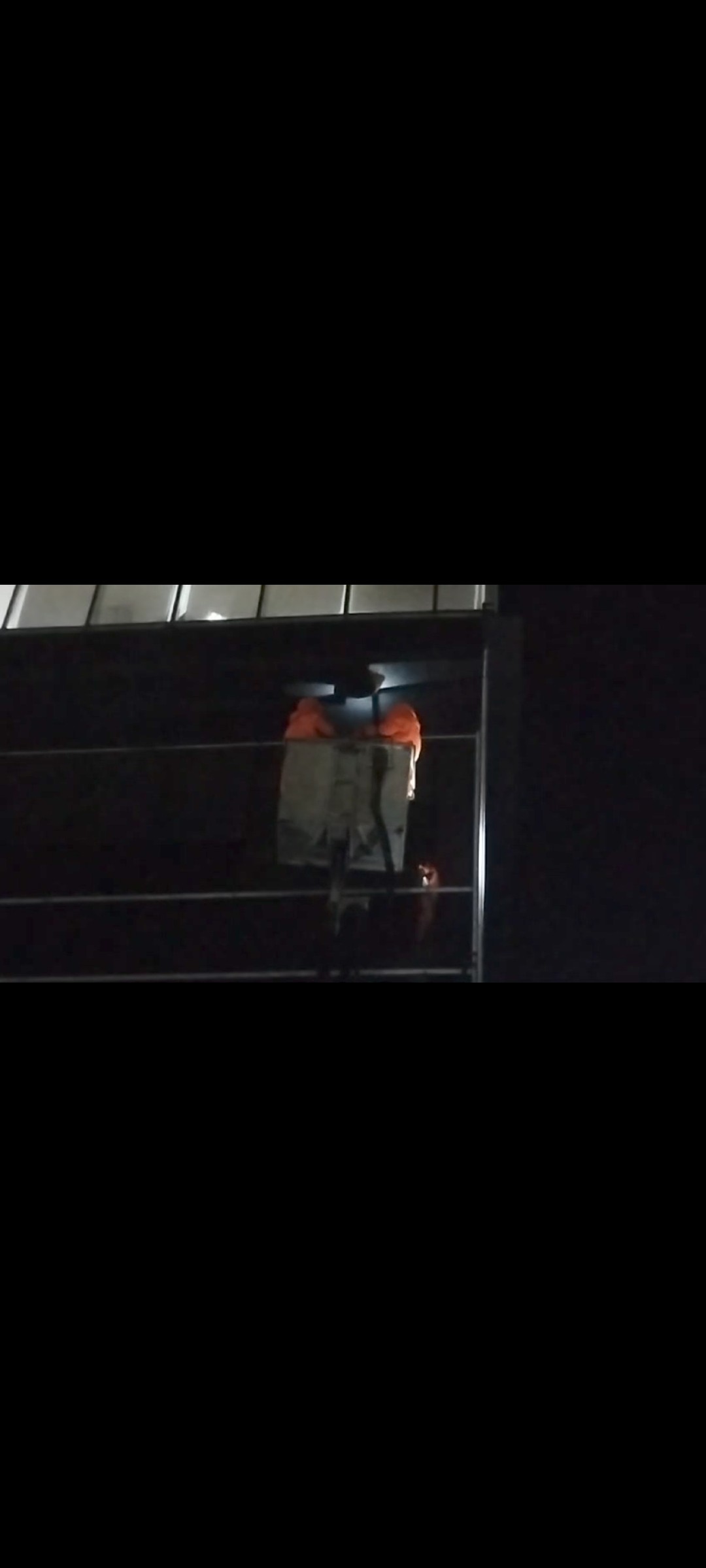 Evakuasi Sarang Tawon yang  berada di Gedung Balai Merah Putih   Jl.Supratman