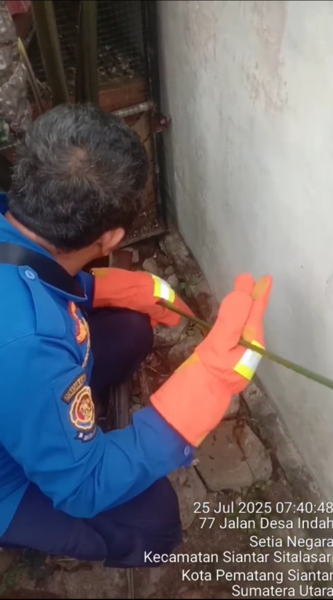 menerima informasi adanyaa ular di rumah warga yang beralamat di  Jl. Desa Indah